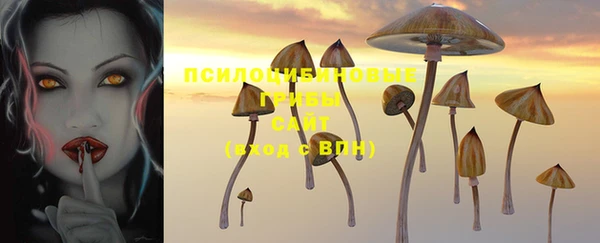 ALPHA-PVP Горняк
