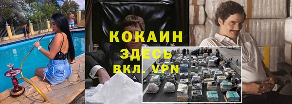 PSILOCYBIN Горнозаводск