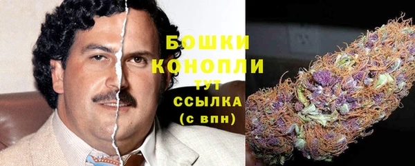 PSILOCYBIN Горнозаводск
