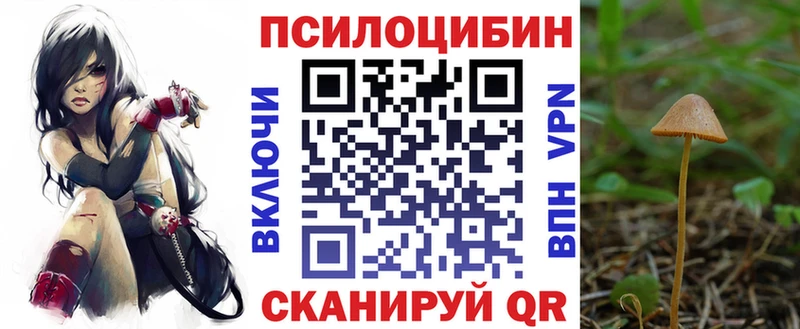 Псилоцибиновые грибы GOLDEN TEACHER  Купить где  Харовск 